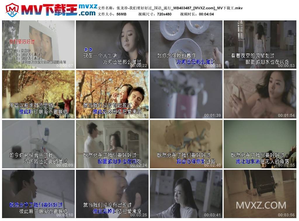 张龙珍-我们要好好过_国语_流行_MB403487